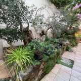 Giulia ci conduce infatti in una rigogliosa oasi arricchita da panchine, alberi da frutto, bonsai...